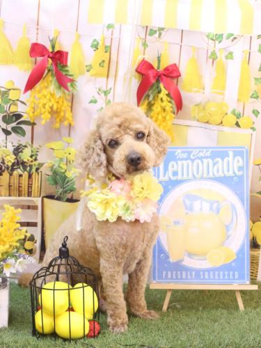 20240419ノンくん